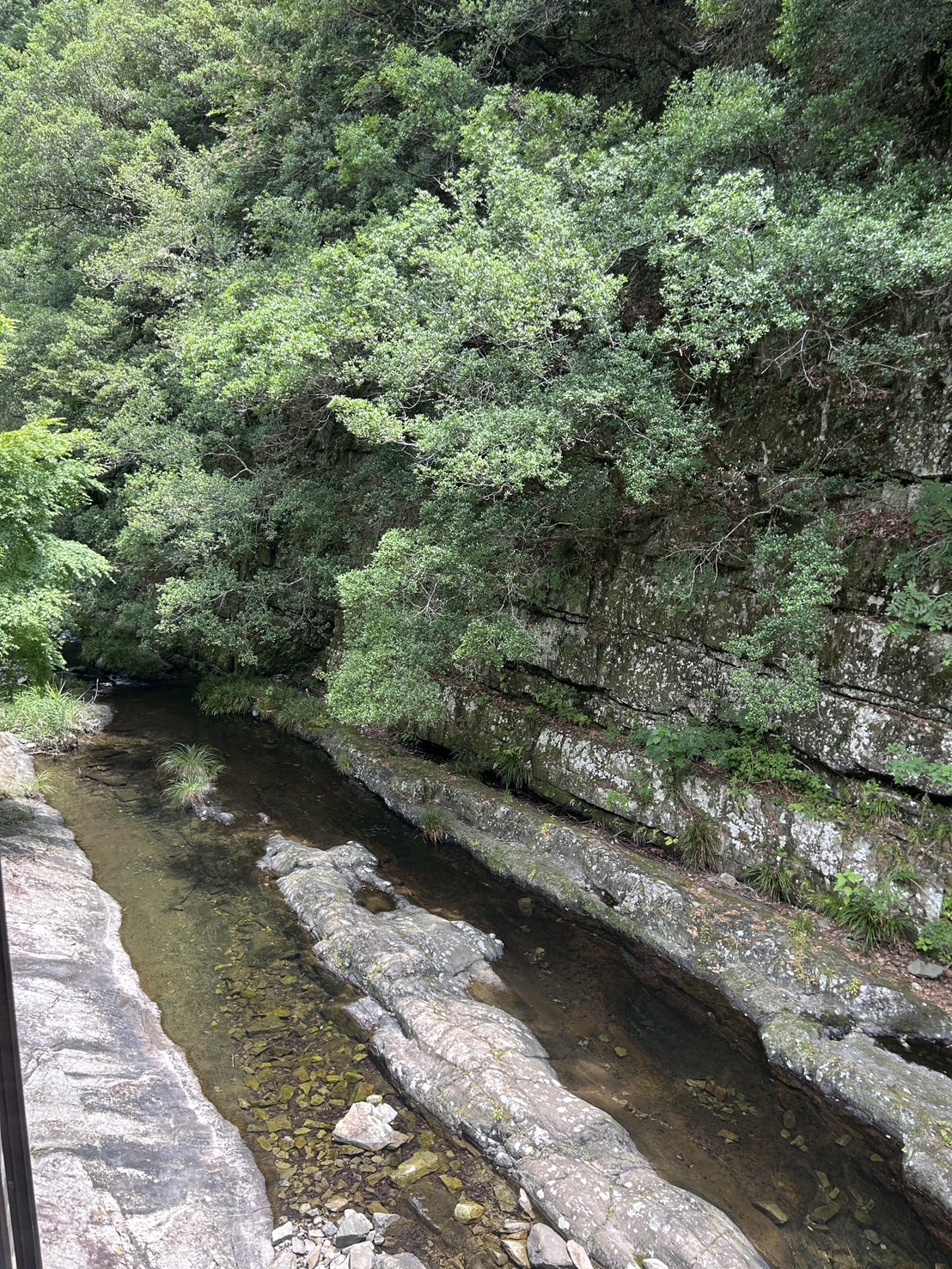 店のそばの渓流